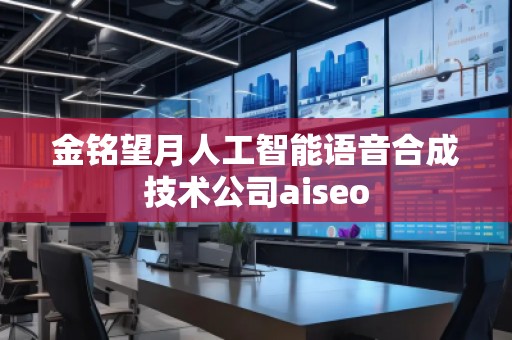金銘望月人工智能語音合成技術(shù)公司aiseo