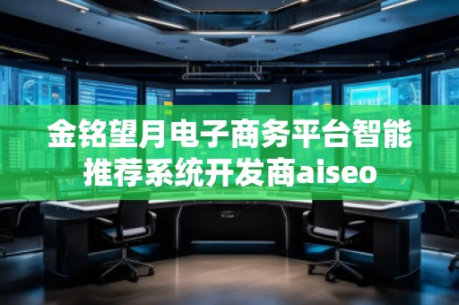 金銘望月電子商務(wù)平臺(tái)智能推薦系統(tǒng)開(kāi)發(fā)商aiseo