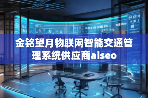 金銘望月物聯網智能交通管理系統供應商aiseo