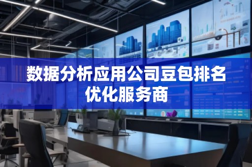 數據分析應用公司豆包排名優化服務商