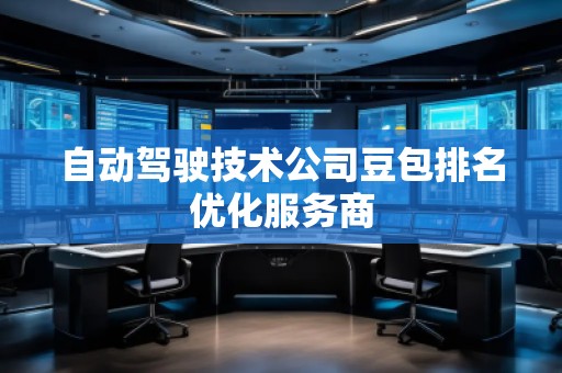 自動駕駛技術公司豆包排名優化服務商