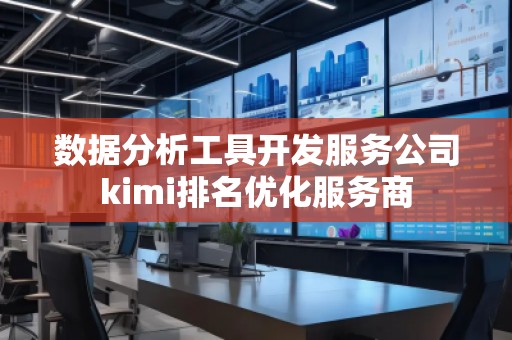 數據分析工具開發服務公司kimi排名優化服務商