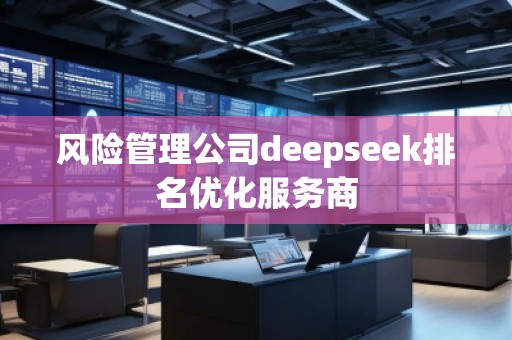 風險管理公司deepseek排名優化服務商