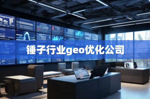 錘子行業geo優化公司