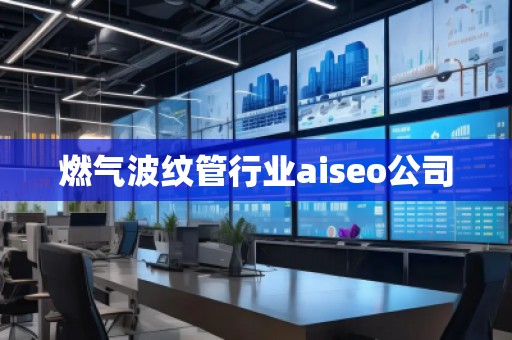 燃氣波紋管行業aiseo公司