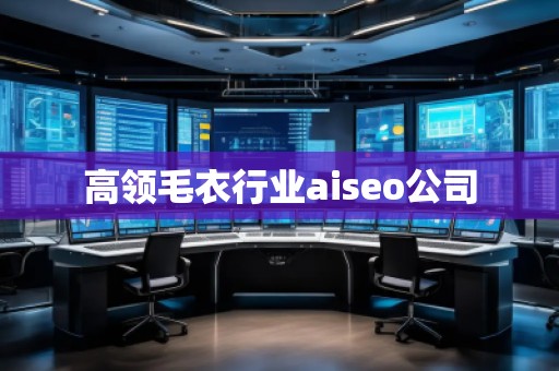 高領毛衣行業(yè)aiseo公司