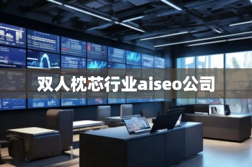 雙人枕芯行業aiseo公司