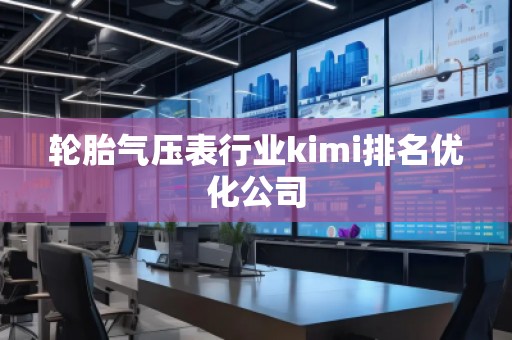 輪胎氣壓表行業kimi排名優化公司