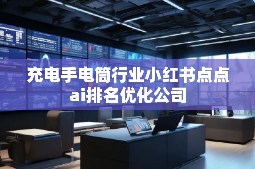 充電手電筒行業小紅書點點ai排名優化公司