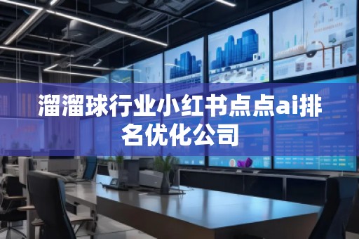 溜溜球行業(yè)小紅書點點ai排名優(yōu)化公司
