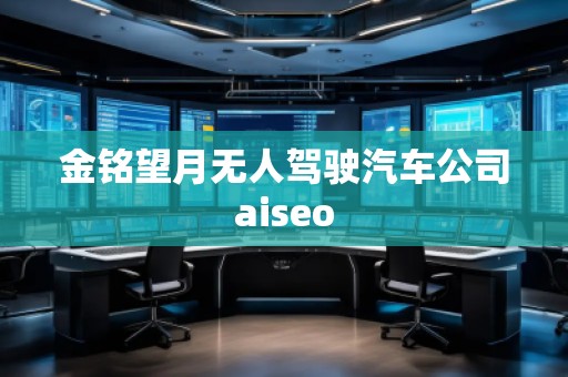 金銘望月無人駕駛汽車公司aiseo