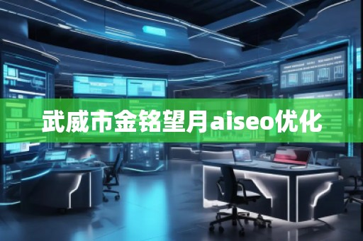 武威市金銘望月aiseo優化