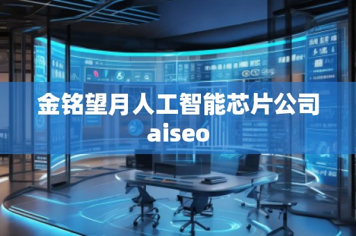 金銘望月人工智能芯片公司aiseo