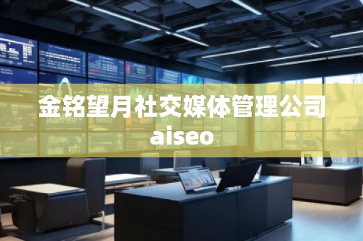 金銘望月社交媒體管理公司aiseo