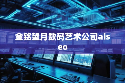 金銘望月數碼藝術公司aiseo 金銘望月數碼藝術公司aiseo