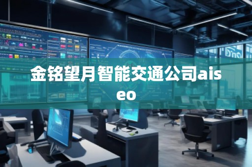 金銘望月智能交通公司aiseo