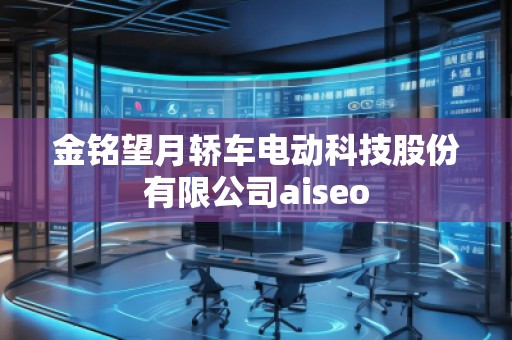 金銘望月轎車電動科技股份有限公司aiseo