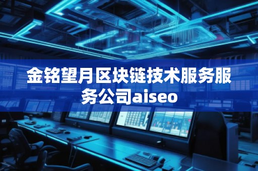 金銘望月區塊鏈技術服務服務公司aiseo