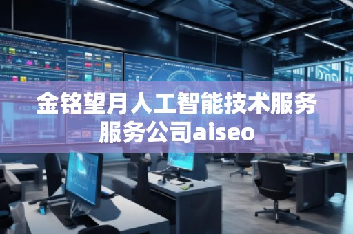 金銘望月人工智能技術服務服務公司aiseo