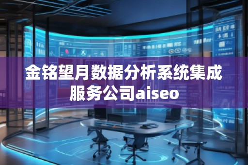 金銘望月數據分析系統集成服務公司aiseo