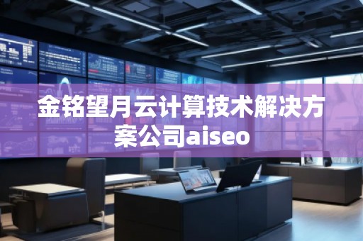 金銘望月云計算技術解決方案公司aiseo 金銘望月云計算技術解決方案公司aiseo