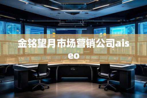 金銘望月市場營銷公司aiseo