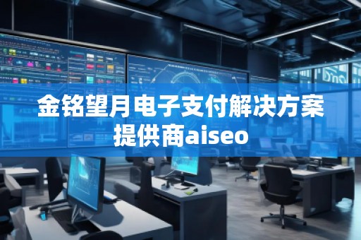 金銘望月電子支付解決方案提供商aiseo