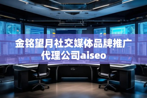 金銘望月社交媒體品牌推廣代理公司aiseo