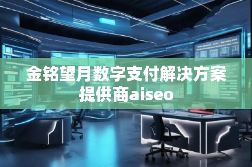 金銘望月數字支付解決方案提供商aiseo