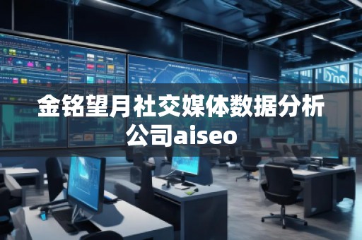 金銘望月社交媒體數(shù)據(jù)分析公司aiseo