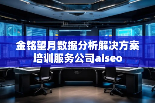 金銘望月數據分析解決方案培訓服務公司aiseo