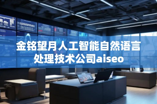 金銘望月人工智能自然語言處理技術公司aiseo 金銘望月人工智能自然語言處理技術公司aiseo