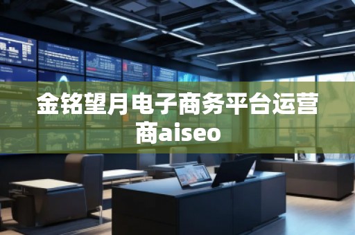 金銘望月電子商務平臺運營商aiseo