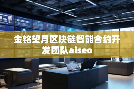 金銘望月區塊鏈智能合約開發團隊aiseo